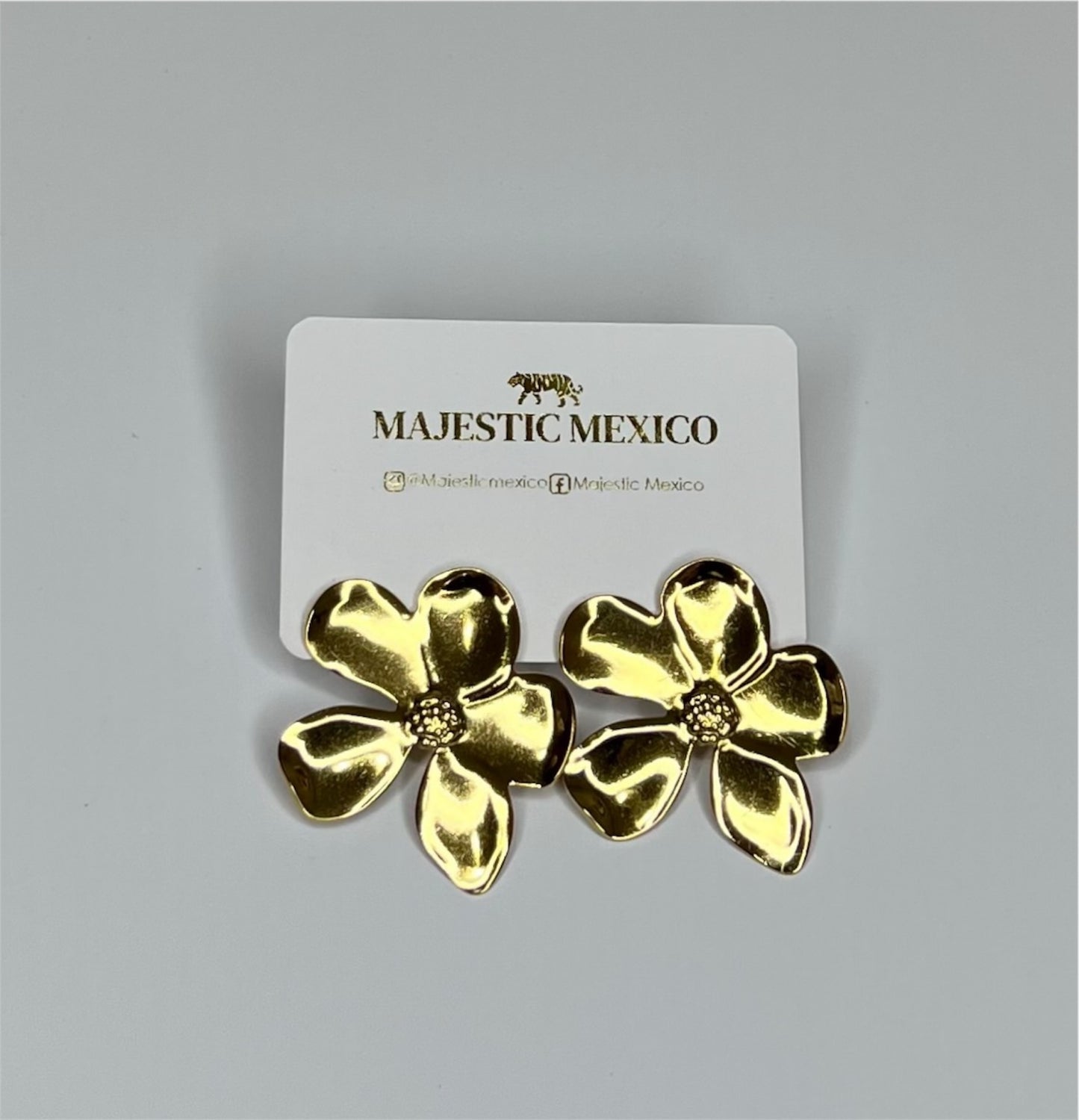ARETES FLOR LISA