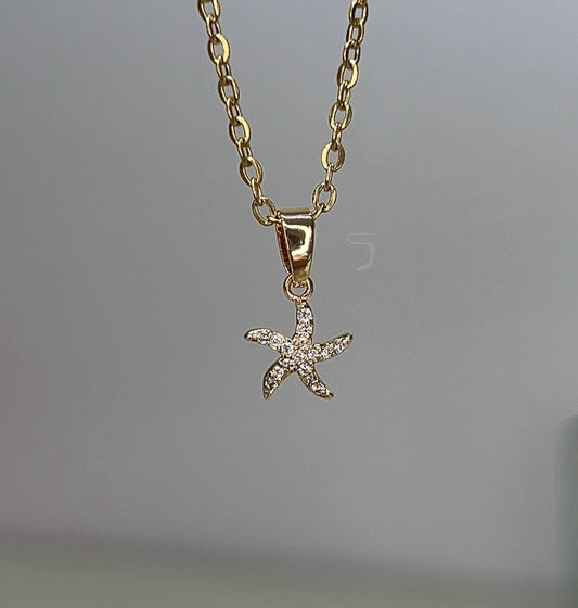 Collar Estrellita De Mar
